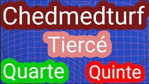chedmedturf